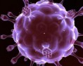 /album/galeria-de-fotos-fotos/virus-da-sida1-jpg/